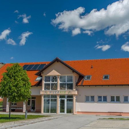 Apartma Murania Lendava Zewnętrze zdjęcie